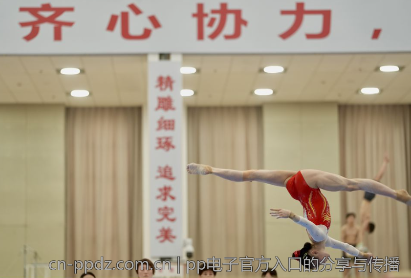 pp电子官方入口的分享与传播
