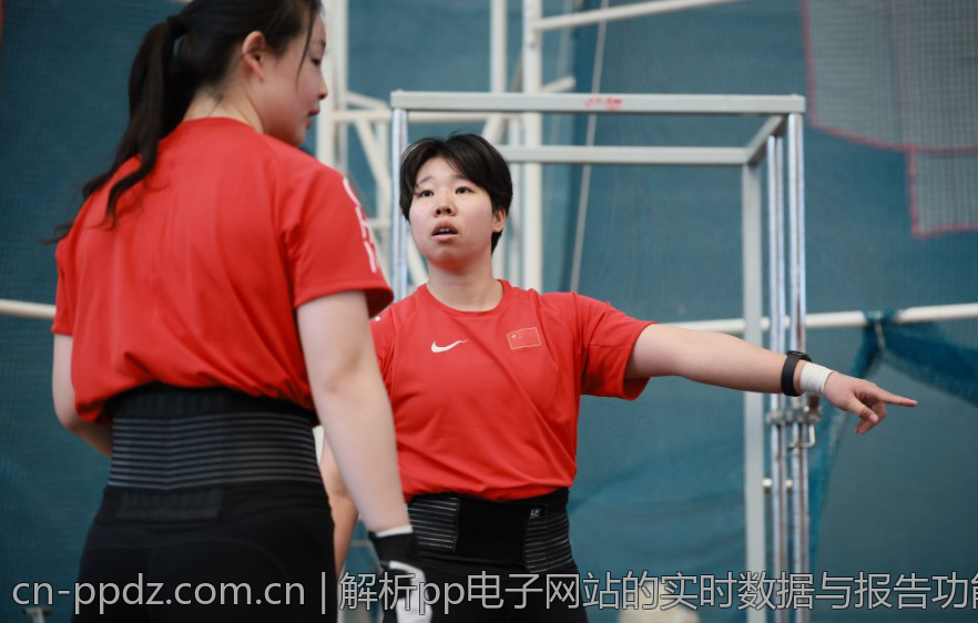 解析pp电子网站的实时数据与报告功能