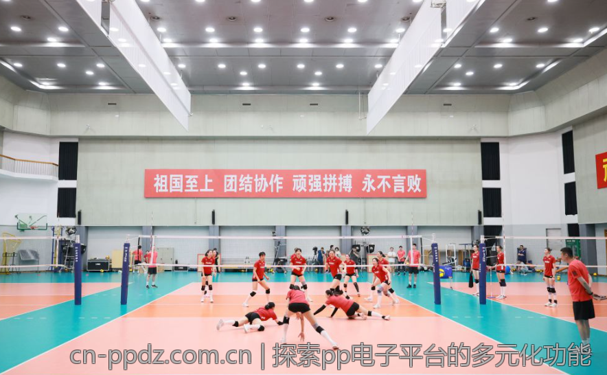 探索pp电子平台的多元化功能
