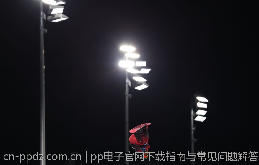 pp电子官网下载指南与常见问题解答