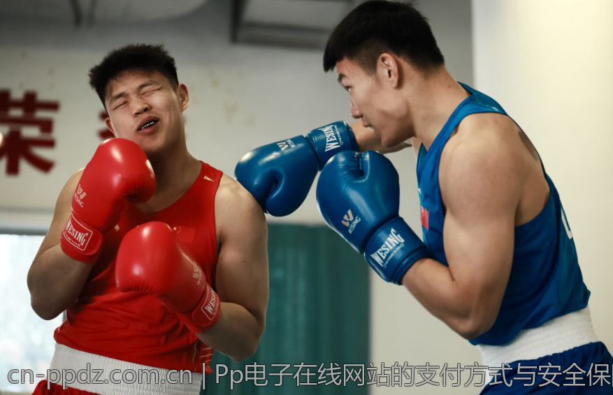 Pp电子在线网站的支付方式与安全保障